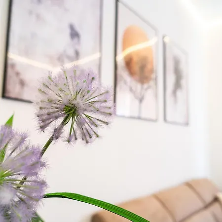 Apartmán Emmina In
